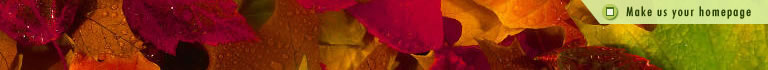 Set As Homepage