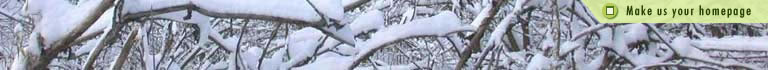 Set As Homepage